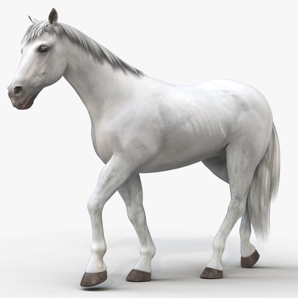 3D модель Horse Pro (Белый) - TurboSquid 1385853